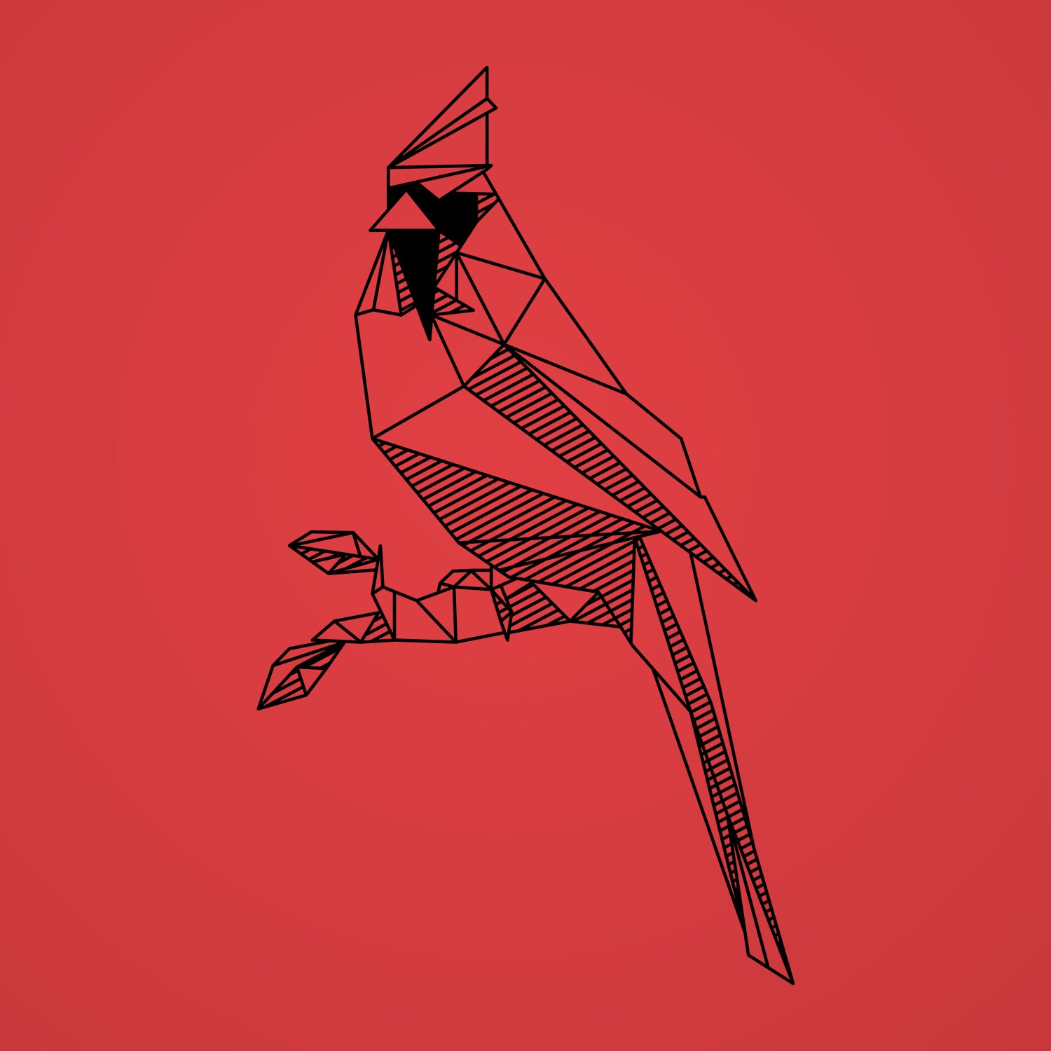 Poly Cardinal