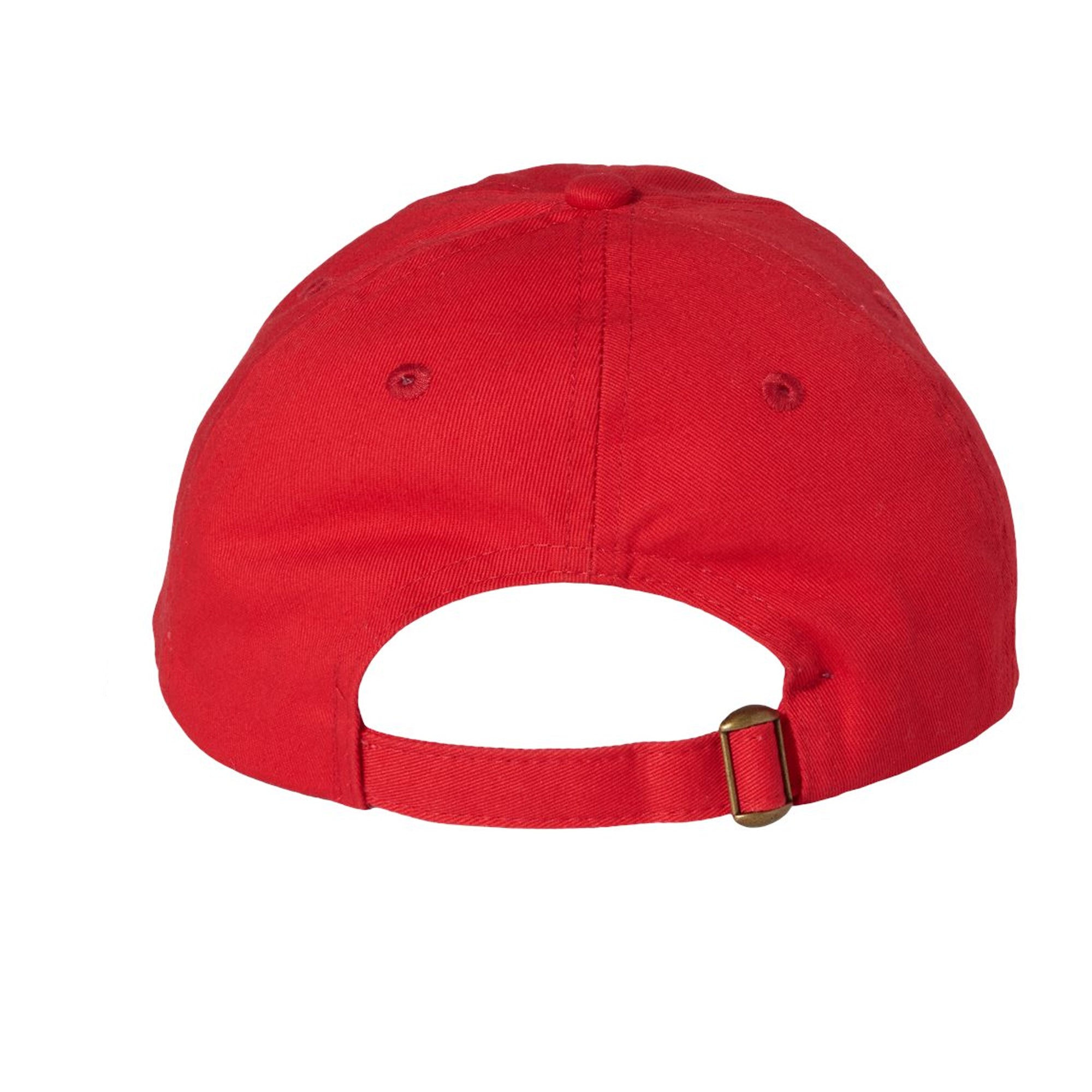 CUSTOM Vs The World - Dad Hat