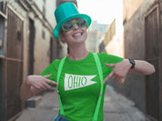 Ohio Vintage Flag