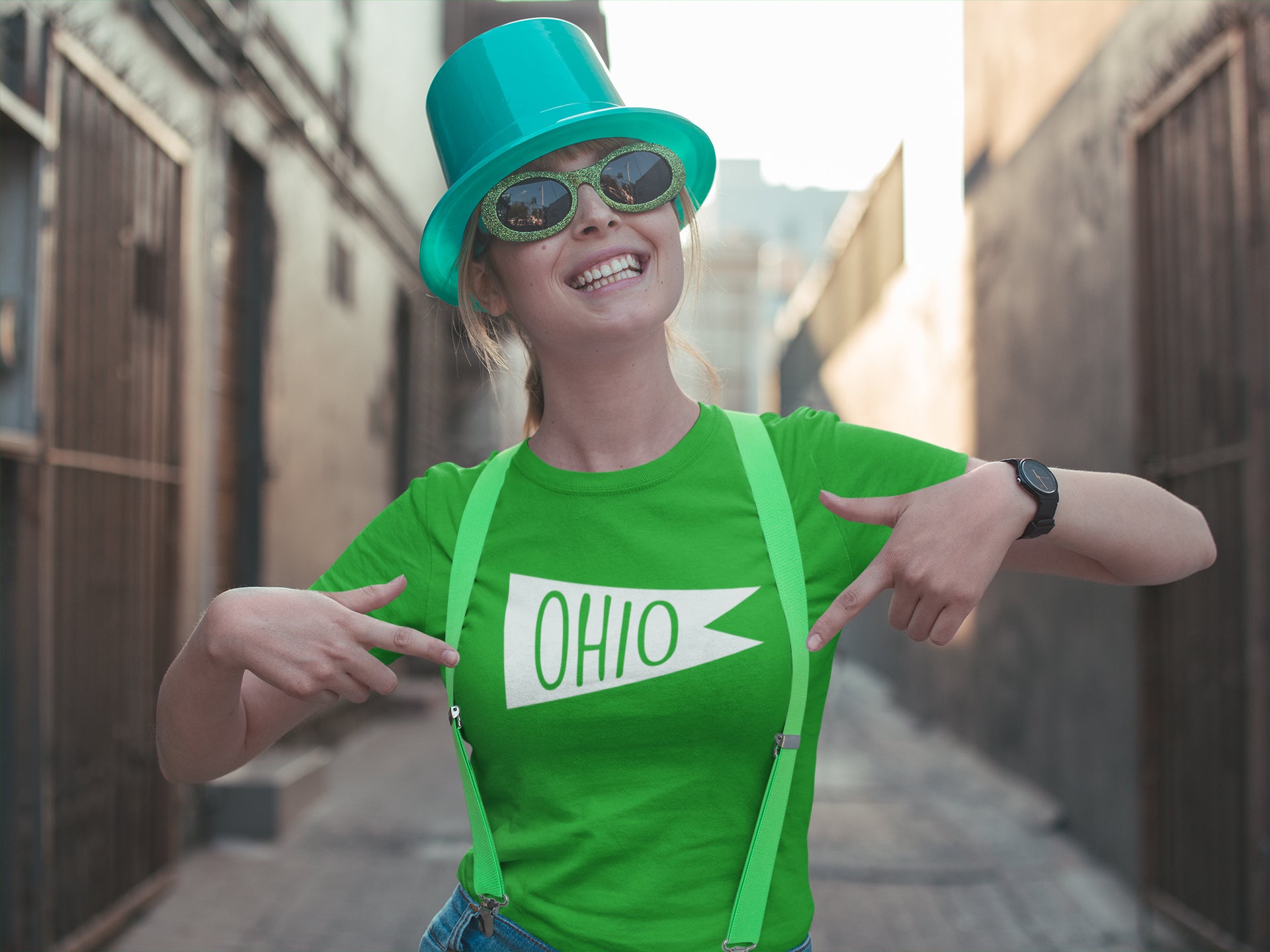 Ohio Vintage Flag