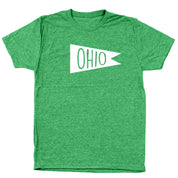 Ohio Vintage Flag