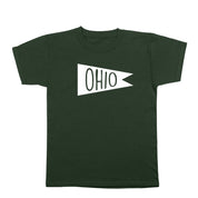 Ohio Vintage Flag