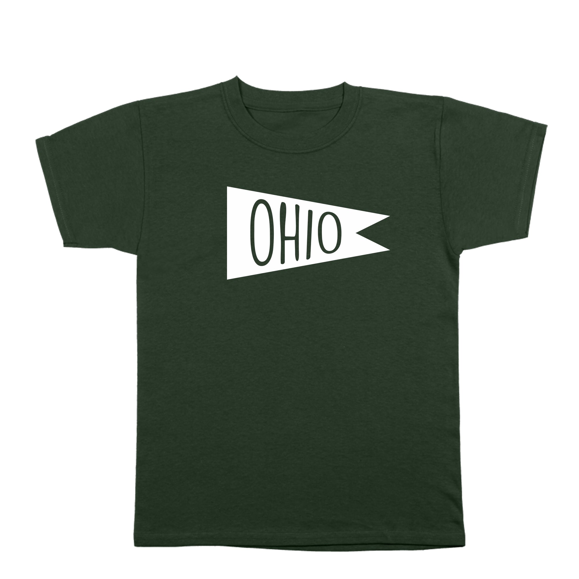Ohio Vintage Flag