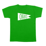 Ohio Vintage Flag