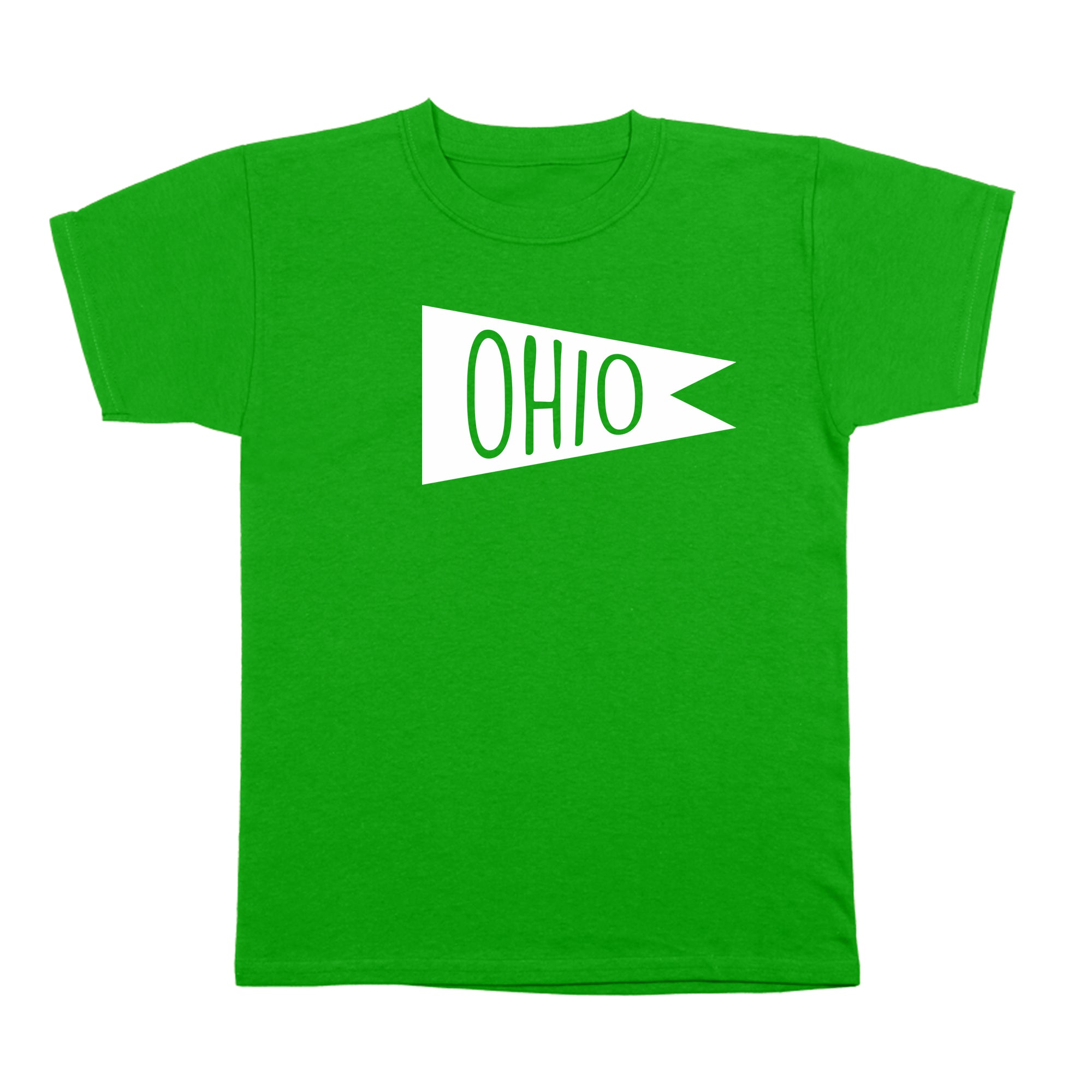 Ohio Vintage Flag