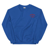 WORTHINGTON Vs The World - Embroidered Unisex Sweatshirt