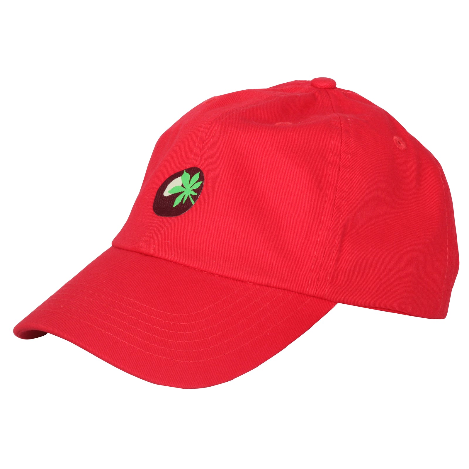 Mini Buckeye Ohio Dad Hat - Clothe Ohio - Soft Ohio Shirts