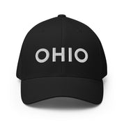 OHIO Flex Fit Baseball Hat