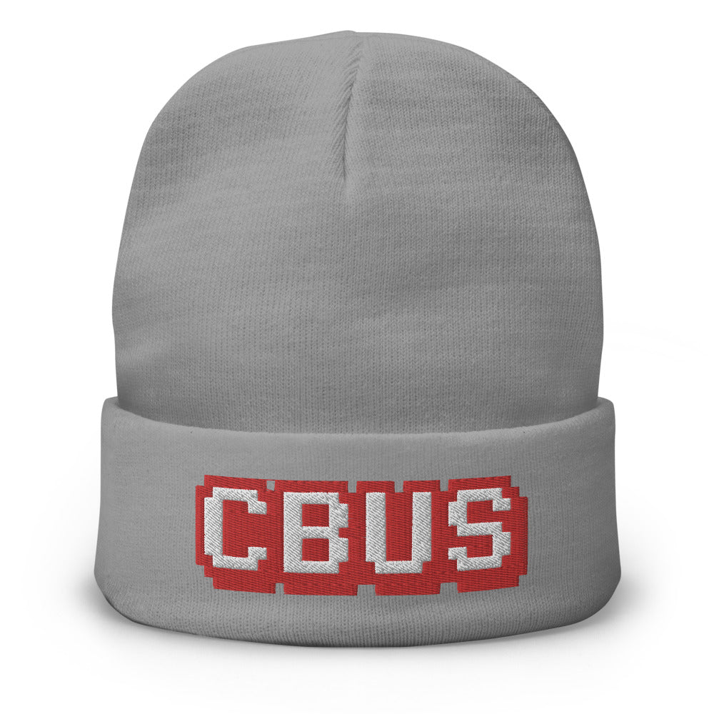 knit-beanie-gray-front-621e8957aaed7.jpg